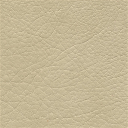 Stargo Leather Canvas