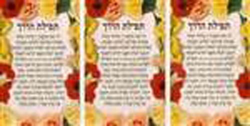 Traveler's Prayer (Tefilot Haderech) - small - 3/sheet - 3 pack
