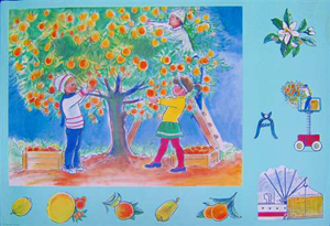 Vintage In the Orange Orchard Poster