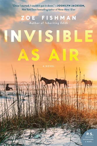 Invisible as Air by Zoe Fishman