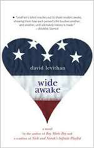 Wide Awake: a story about two boys and an election, by David Levithan