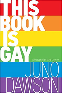 This Book is Gay :  the Post-Coming-Out Instruction  Manual
