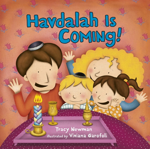 Havdalah is Coming!  A board book about the ending of Shabbat