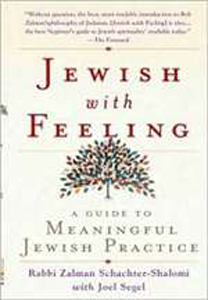 Jewish with Feeling (Bargain Book)
