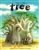 This  is the Tree: A Story of the Baobab
