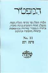 Bar/Bat Mitzvah Preparation Booklet:  HaMaftir 11: Vayigash including maftir and haftarah readings