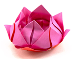 Origami Lotus Flower Directions