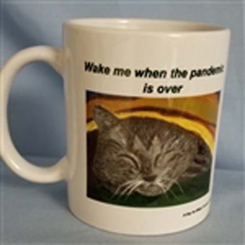 Wake Me when the Pandemic is Over 10 oz Mug