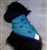 Stars of David Dog Bandana XS