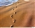 Walking to Freedom: Foot Prints in Sands of Israel