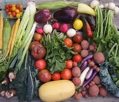 Pay-As-You-Go Fall Produce CSA with Optional Meat/Eggs/Milk/Fish Addon Options ~ 12 weeks
