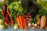 Standard Winter Produce CSA with Meat/Eggs/Milk/Fish Addon Options ~ 12 weeks