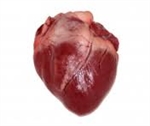Pork Heart (whole heart) ~ 2 lbs
