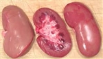 Pork Kidney ~ 1 lb