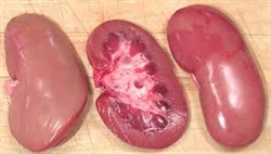 Pork Kidney ~ 1 lb