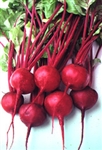 Baby Beets, Red ~ 1 bunch