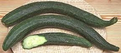 Cucumbers, European/English (1/order)