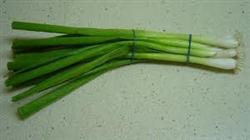 Scallions/Baby Onions, Green ~ 1 bunch