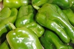 Bell Pepper, Green (2/order)