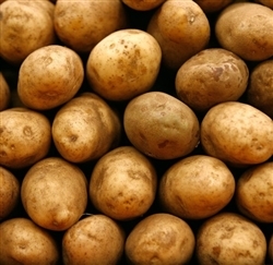 Potatoes, Gold  ~ 1.5 lbs