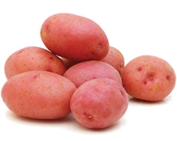Potatoes, Red ~ 1.5 lbs