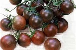 Cherry Tomatoes, Black (dry farmed) ~ 1 pint