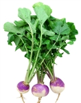 Turnips, Purple (with tops) ~ 1 bunch