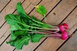 Turnips, Scarlet (with tops) ~ 1 bunch