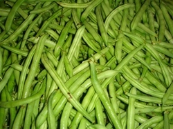 Green Beans ~ 1 lb