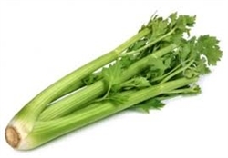 Celery, Organic ~ 1 bunch
