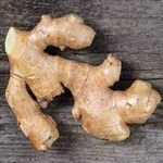 Ginger (whole root) ~ 5oz