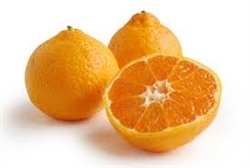 Satsuma Mandarin Orange (seedless) ~ 3ea