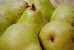 Pears, Bosc ~ 3 pears/order