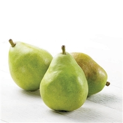 Pears, D'Anjou ~ 3 pears/order