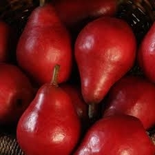 Pears, Starkrimson, Red - 3/order