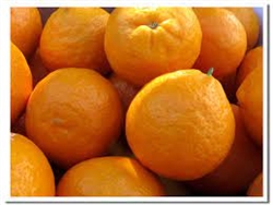 Tangerines (seedless) ~ 1 lb