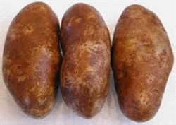 Potatoes, Russet ~ 2 lb