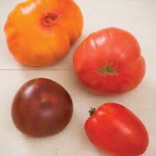 Tomatoes, Heirloom, Mixed (mostly red) ~ 1 lb