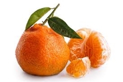 Georgia Satsuma Oranges ~ 1. lb