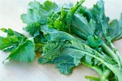 Broccoli Raab/Rabe~ 1 bunch