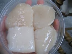 FROZEN Sea Scallops, Dry-pack (10-20/pack) ~ 1lb