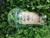 Pea Shoots Microgreens ~ 2 oz compostable cup