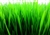 Wheatgrass Microgreens ~ 2 oz bag