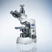 Olympus CX31 microscope