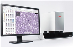 motic easyscan