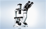 Olympus CKX31 inverted microscope