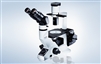 Olympus CKX41 inverted microscope