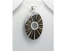 Web Design Shell and Sterling Silver Pendant with 16 Sterling Silver Snake C...
