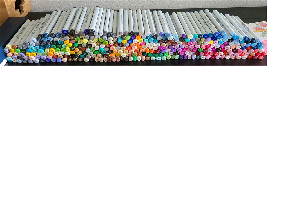 Copic Sketch Marker Complete Set all 358 Colors