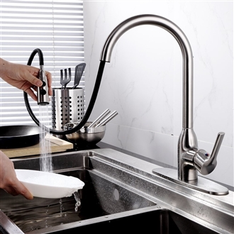 Abrantes Architectural Design Kitchen Sink Faucet with Pull Out Sprayer